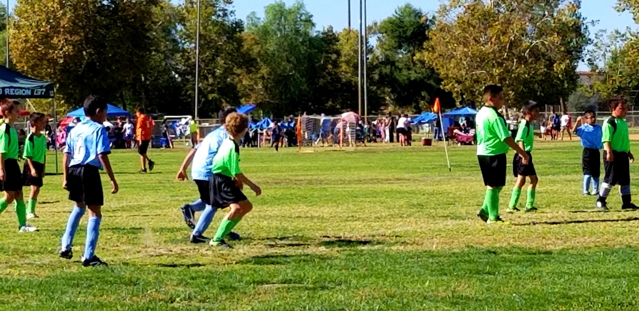 Playing field and sports team